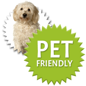 Our Asheville Cabins are proudly pet friendly! Book into our NC Cabins in the Blue Ridge Mountains to experience a pet friendly vacation
